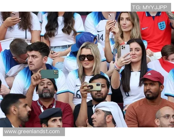 揭秘足坛太太团幕后故事聚焦足球明星妻子的光鲜与辛酸