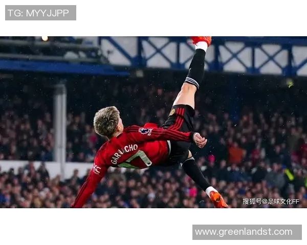 球星足球倒钩进球精彩瞬间解析与技术难度的深度剖析