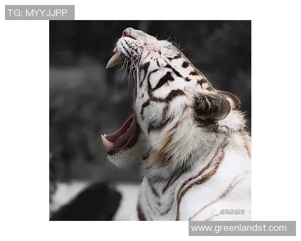 笑容凶猛如猛兽 这些足球明星的笑容竟然吓坏了对手